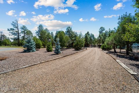 Tiny photo for 2046 Christmas Pine Road, Overgaard, AZ 85933 (MLS # 257949)