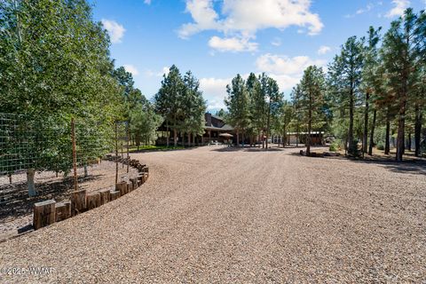 Tiny photo for 2046 Christmas Pine Road, Overgaard, AZ 85933 (MLS # 257949)