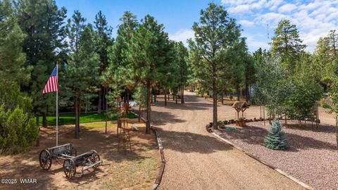 Tiny photo for 2046 Christmas Pine Road, Overgaard, AZ 85933 (MLS # 257949)