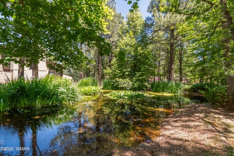 Tiny photo for 3744 Crown Dancer Drive, Pinetop, AZ 85935 (MLS # 261973)
