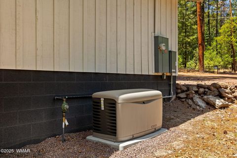 Tiny photo for 26 County Road 2067, Alpine, AZ 85920 (MLS # 256663)