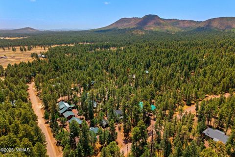 Tiny photo for 26 County Road 2067, Alpine, AZ 85920 (MLS # 256663)