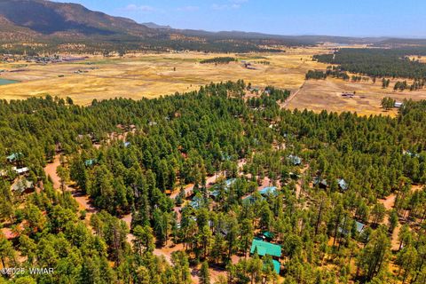 Tiny photo for 26 County Road 2067, Alpine, AZ 85920 (MLS # 256663)