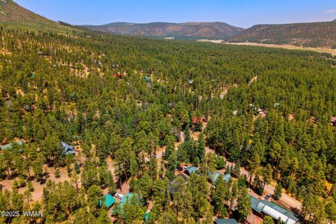 Tiny photo for 26 County Road 2067, Alpine, AZ 85920 (MLS # 256663)