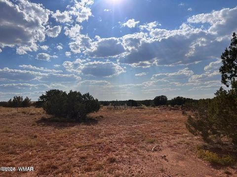 Tiny photo for 5184 Coyote Trail, Heber, AZ 85928 (MLS # 256834)