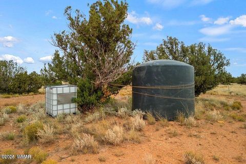 Tiny photo for 5184 Coyote Trail, Heber, AZ 85928 (MLS # 256834)