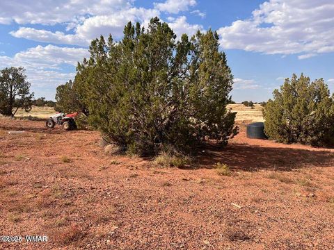Tiny photo for 5184 Coyote Trail, Heber, AZ 85928 (MLS # 256834)