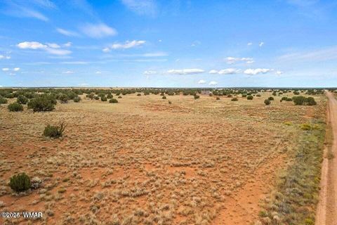 Tiny photo for 5184 Coyote Trail, Heber, AZ 85928 (MLS # 256834)