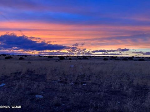 Tiny photo for 5184 Coyote Trail, Heber, AZ 85928 (MLS # 256834)