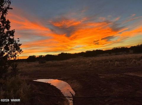 Tiny photo for 5184 Coyote Trail, Heber, AZ 85928 (MLS # 256834)