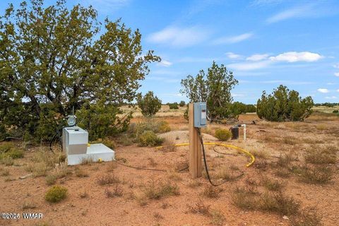 Tiny photo for 5184 Coyote Trail, Heber, AZ 85928 (MLS # 256834)