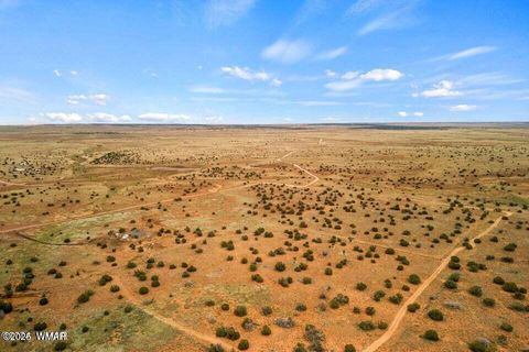 Tiny photo for 5184 Coyote Trail, Heber, AZ 85928 (MLS # 256834)