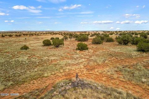 Tiny photo for 5184 Coyote Trail, Heber, AZ 85928 (MLS # 256834)