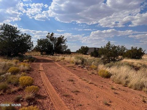 Tiny photo for 5184 Coyote Trail, Heber, AZ 85928 (MLS # 256834)