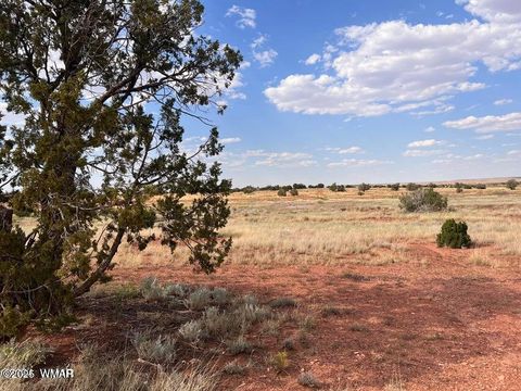 Tiny photo for 5184 Coyote Trail, Heber, AZ 85928 (MLS # 256834)