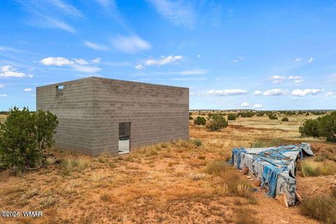 Tiny photo for 5184 Coyote Trail, Heber, AZ 85928 (MLS # 256834)