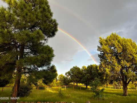 Tiny photo for 1015 Meadow Ln, Show Low, AZ 85901 (MLS # 260443)