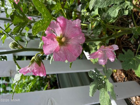 Tiny photo for 1015 Meadow Ln, Show Low, AZ 85901 (MLS # 260443)