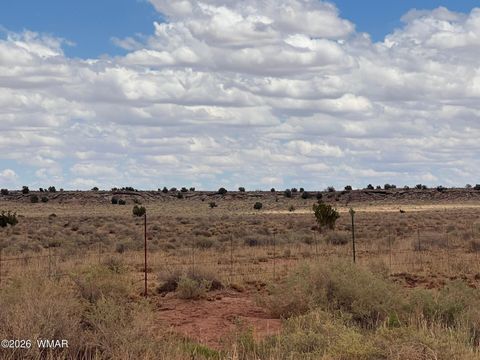 Tiny photo for 8400 N Terry Trail, Snowflake, AZ 85937 (MLS # 259131)