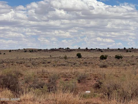 Tiny photo for 8400 N Terry Trail, Snowflake, AZ 85937 (MLS # 259131)