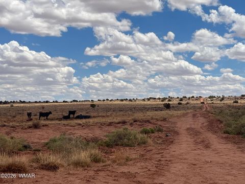 Tiny photo for 8400 N Terry Trail, Snowflake, AZ 85937 (MLS # 259131)