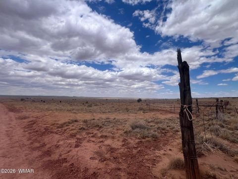 Photo of 8400 N Terry Trail, Snowflake, AZ 85937 (MLS # 259131)