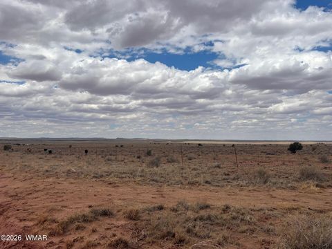 Tiny photo for 8400 N Terry Trail, Snowflake, AZ 85937 (MLS # 259131)