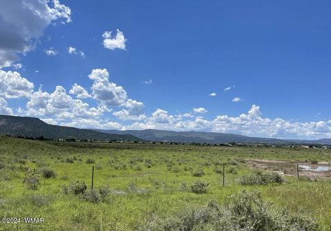 Tiny photo for TBD Parcel 3, Springerville, AZ 85938 (MLS # 251560)