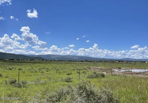 Photo of TBD Parcel 3, Springerville, AZ 85938 (MLS # 251560)