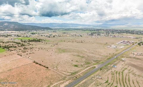 Tiny photo for TBD Parcel 3, Springerville, AZ 85938 (MLS # 251560)