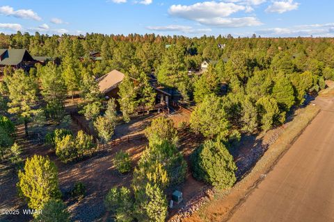 Tiny photo for 2758 Jaguar Circle, Overgaard, AZ 85933 (MLS # 258176)