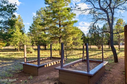 Tiny photo for 2758 Jaguar Circle, Overgaard, AZ 85933 (MLS # 258176)