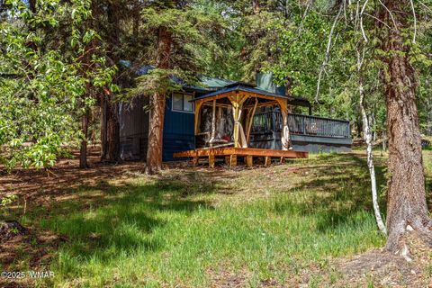 Tiny photo for 6 County Road 1007 #6, Greer, AZ 85927 (MLS # 254069)