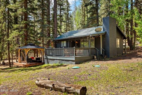 Photo of 6 County Road 1007 #6, Greer, AZ 85927 (MLS # 254069)