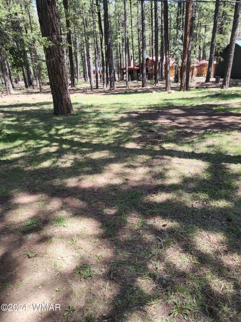 Tiny photo for 6 County Road 1007 #6, Greer, AZ 85927 (MLS # 254069)