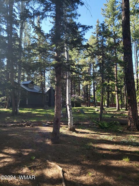 Tiny photo for 6 County Road 1007 #6, Greer, AZ 85927 (MLS # 254069)