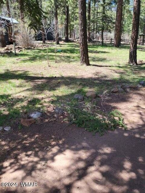 Tiny photo for 6 County Road 1007 #6, Greer, AZ 85927 (MLS # 254069)