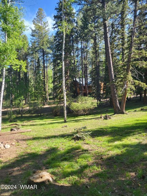Tiny photo for 6 County Road 1007 #6, Greer, AZ 85927 (MLS # 254069)
