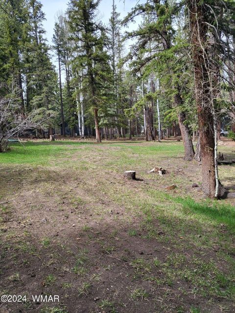 Tiny photo for 6 County Road 1007 #6, Greer, AZ 85927 (MLS # 254069)