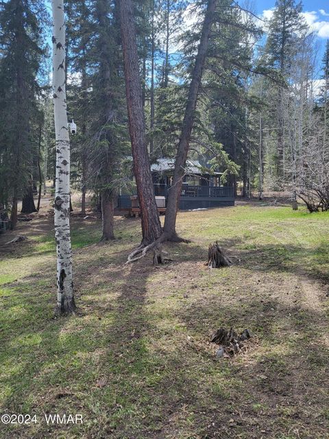 Tiny photo for 6 County Road 1007 #6, Greer, AZ 85927 (MLS # 254069)