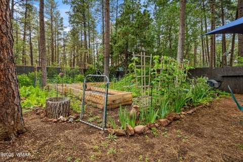 Tiny photo for 417 W Springtime Drive, Lakeside, AZ 85929 (MLS # 262303)