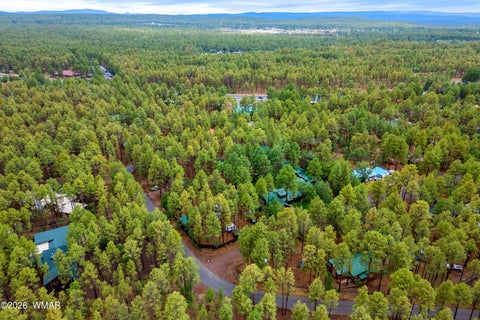 Tiny photo for 417 W Springtime Drive, Lakeside, AZ 85929 (MLS # 262303)