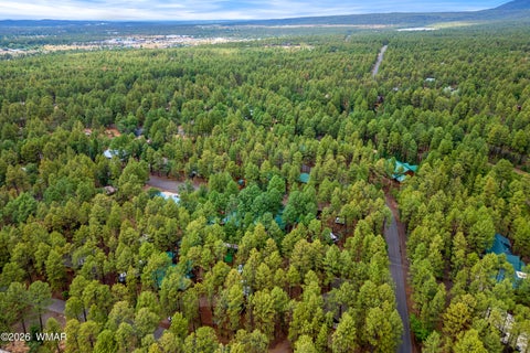 Tiny photo for 417 W Springtime Drive, Lakeside, AZ 85929 (MLS # 262303)