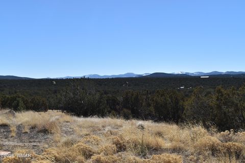 Tiny photo for TBD Stanford Road, Concho, AZ 85924 (MLS # 257624)