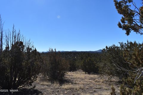 Tiny photo for TBD Stanford Road, Concho, AZ 85924 (MLS # 257624)
