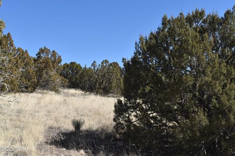 Tiny photo for TBD Stanford Road, Concho, AZ 85924 (MLS # 257624)
