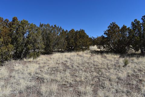 Tiny photo for TBD Stanford Road, Concho, AZ 85924 (MLS # 257624)