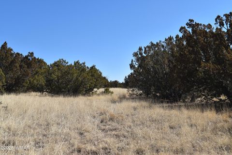 Tiny photo for TBD Stanford Road, Concho, AZ 85924 (MLS # 257624)