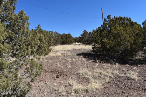 Tiny photo for TBD Stanford Road, Concho, AZ 85924 (MLS # 257624)
