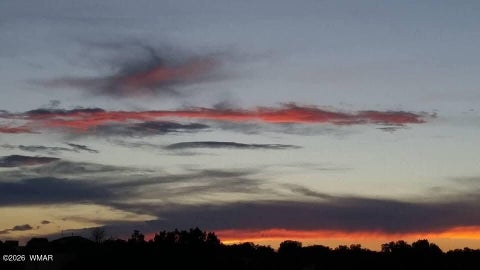 Tiny photo for TBD N5549, Concho, AZ 85924 (MLS # 263395)